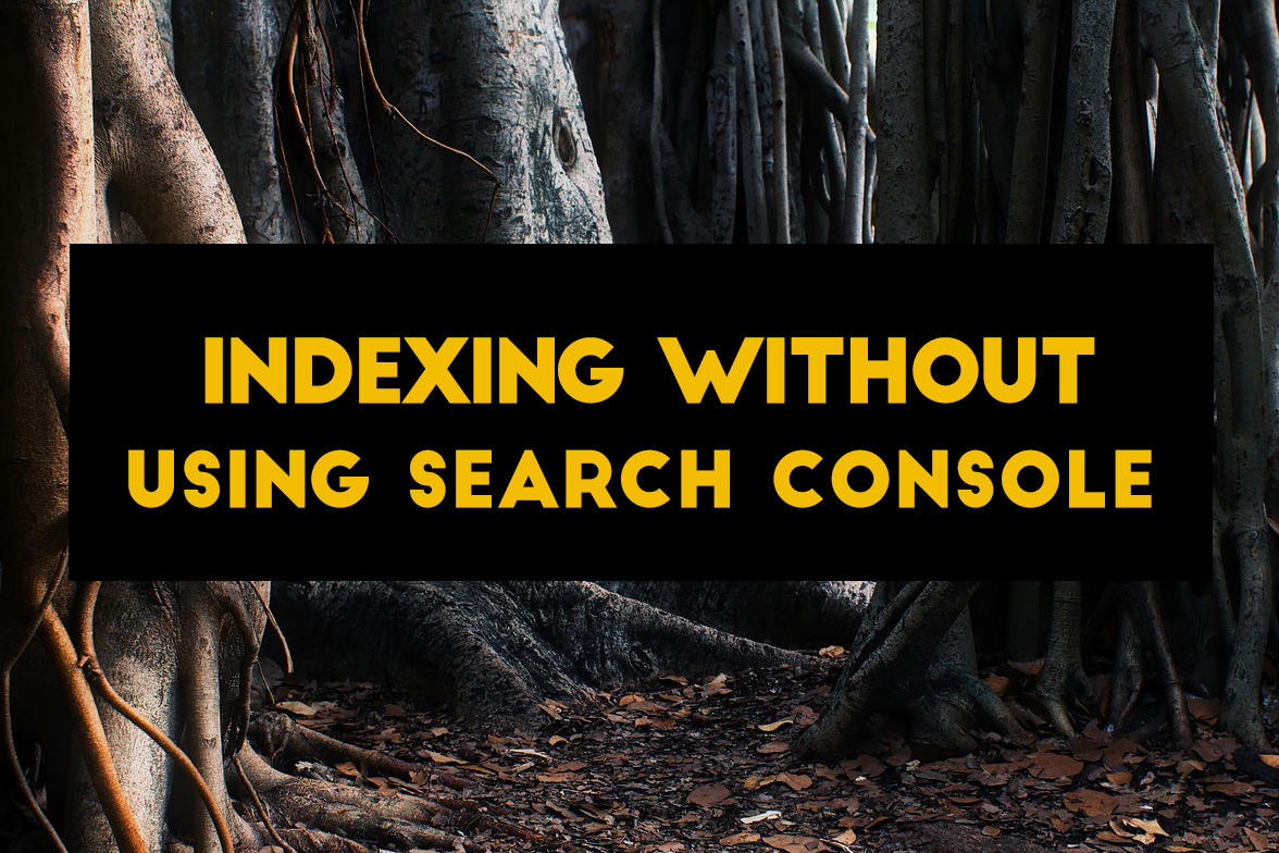 Index urls with video sitemap plugin
